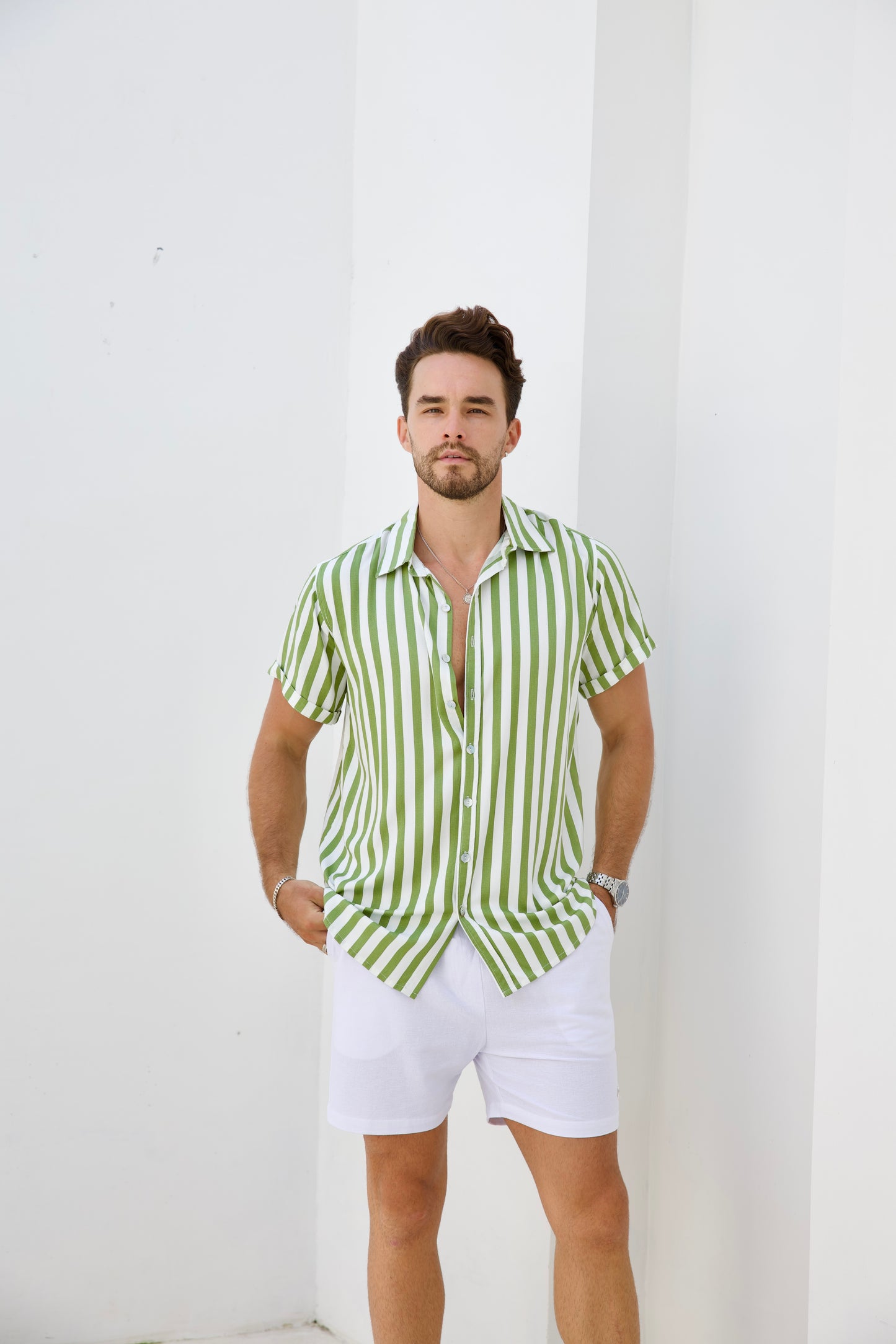 Euro Stripe - Sage Green