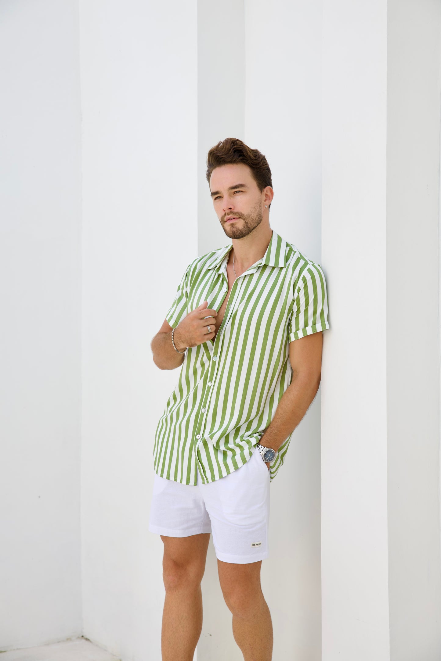 Euro Stripe - Sage Green