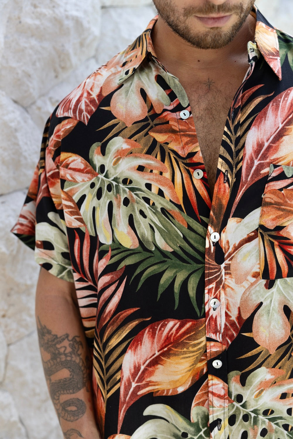 Kauai Palm - Mr Palm